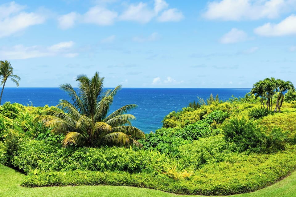 Tropical greenery gives way to the deep blue that defines this coast.
