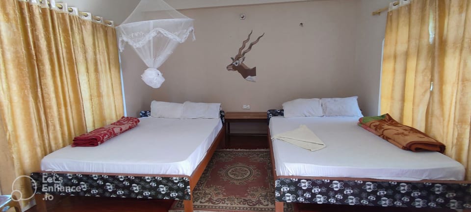 Classic Double or Twin Room | Desk, soundproofing