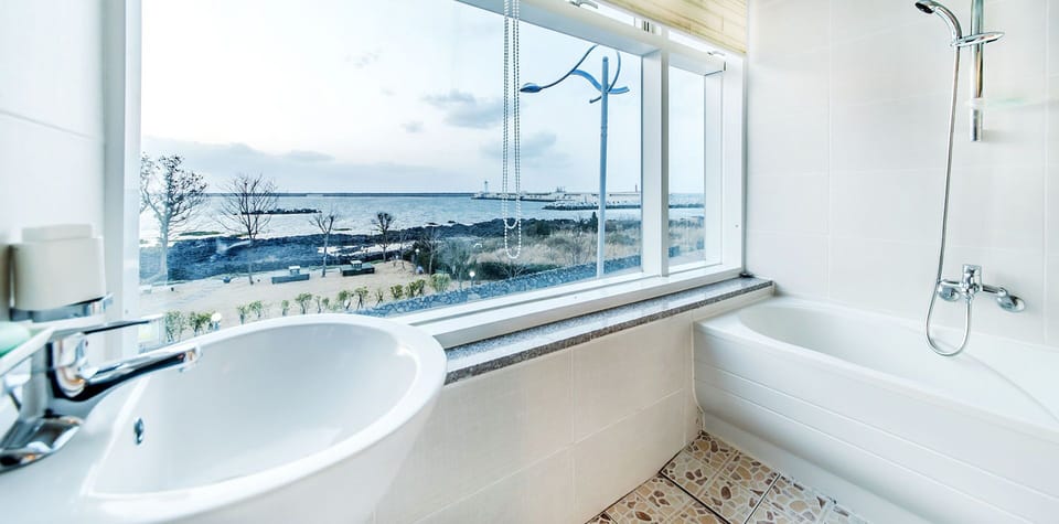 Shower, hair dryer, bidet, towels