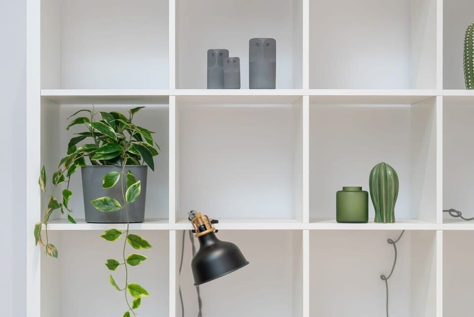 A decorative shelving unit with minimalist decor, including plants, vases, and modern accessories.
