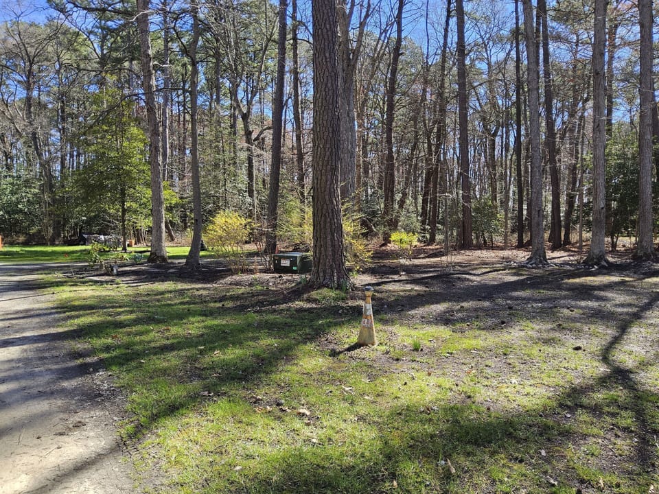 Driveway entrance to the Woodland Retreat on Kent Island.