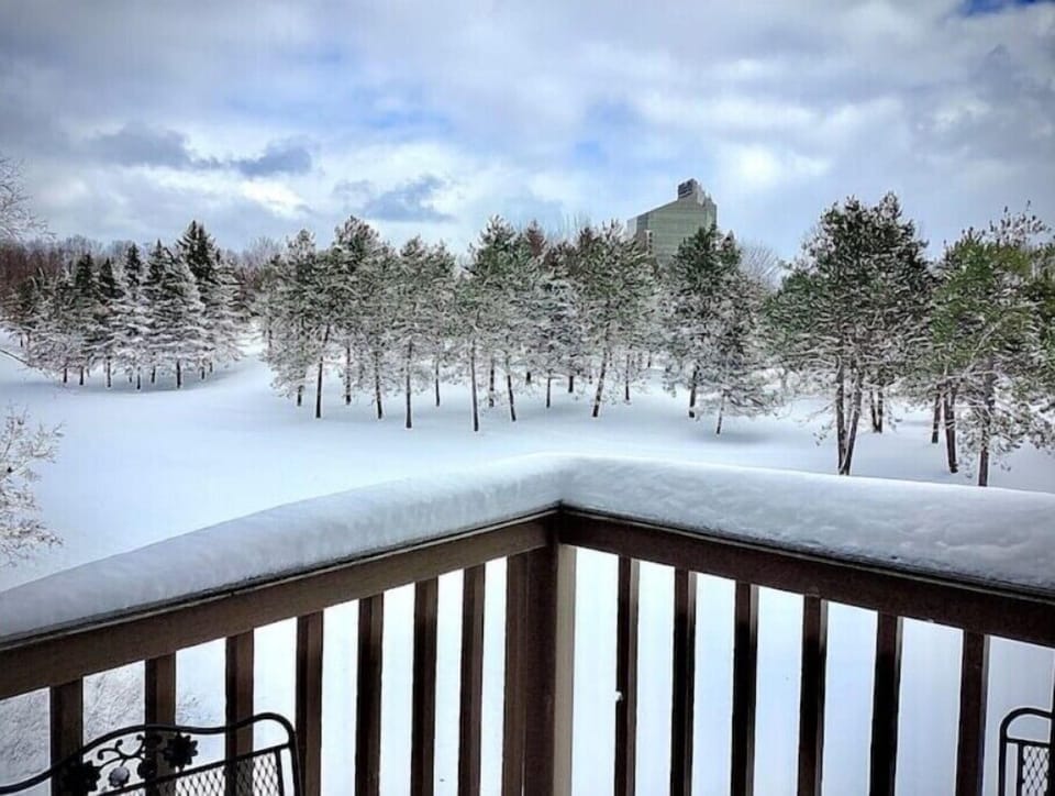 Winter view from large deck 