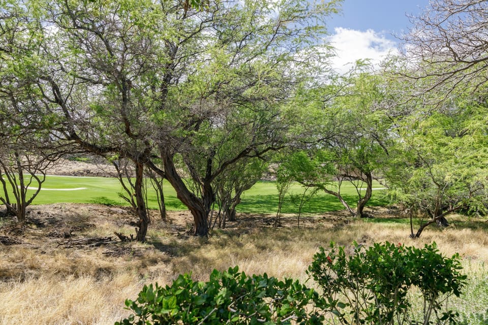 Condo, Multiple Beds (Fairways at Mauna Lani #203) | Miscellaneous