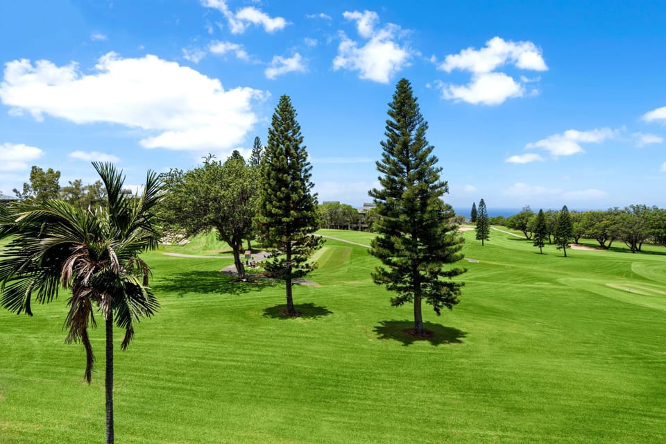 Condo, Multiple Beds (Waikoloa Fairways #A310: Top Floor,Br) | Golf