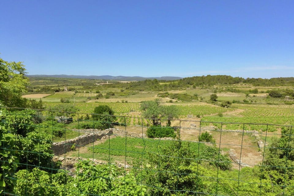 Garden [summer]