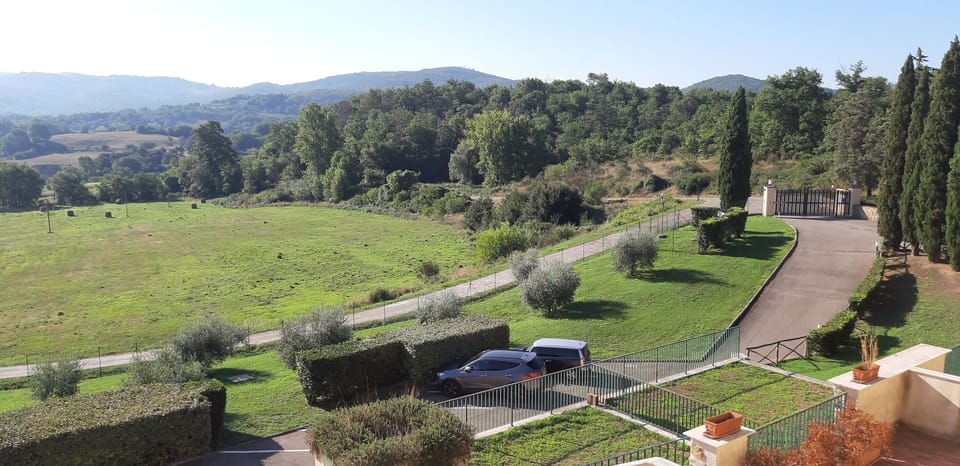 House | Aerial view