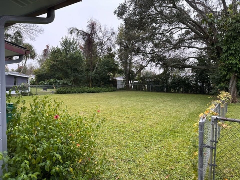 Back yard