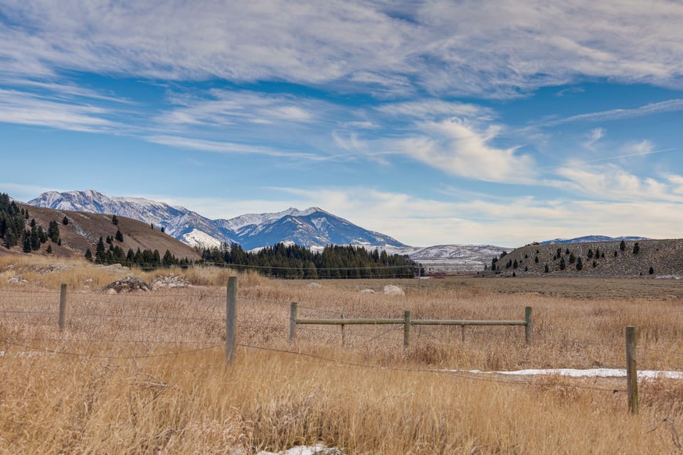 Property Views