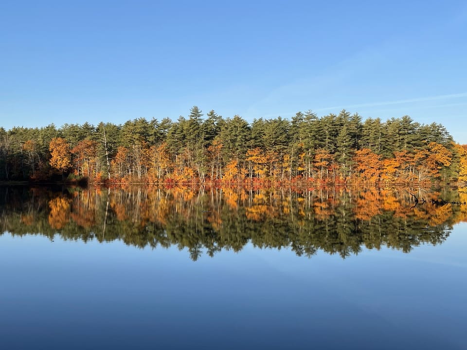 The fall colors are amazing!