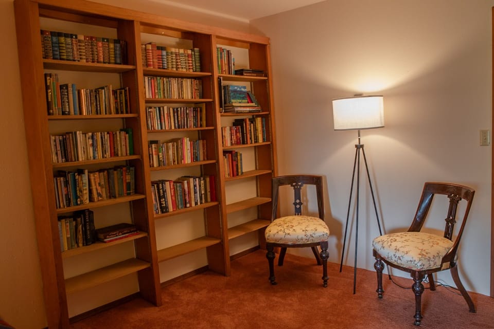 Basement Library Nook. 