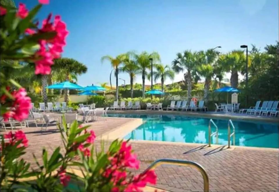 pool