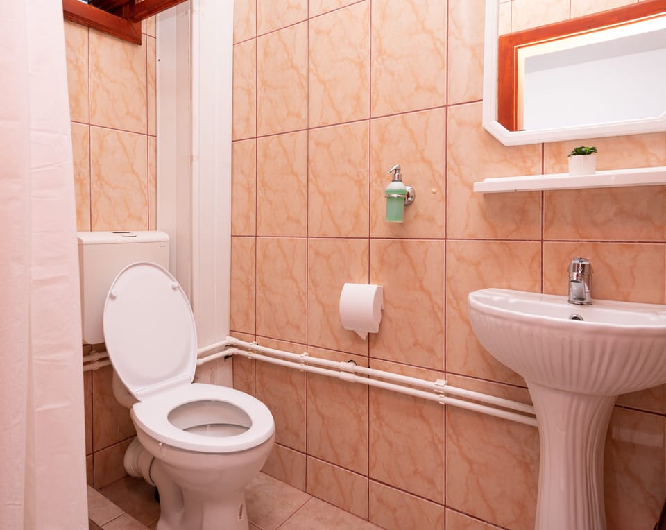 Family Room | Bathroom | Shower, hair dryer, towels, soap