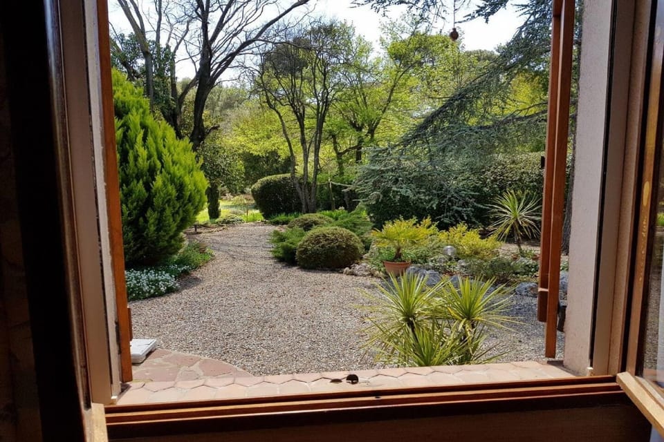 View from Holiday Home [summer]