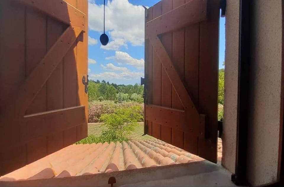 View from Holiday Home [summer]