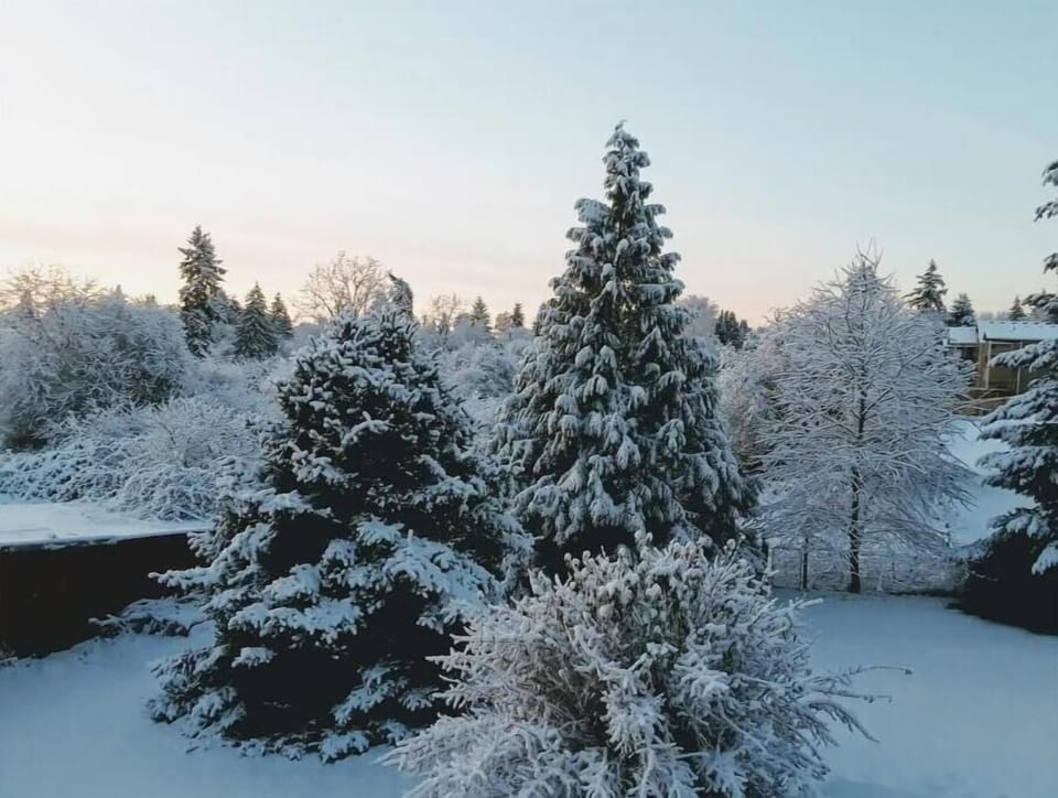 A rare snowy winter day at the Chalet