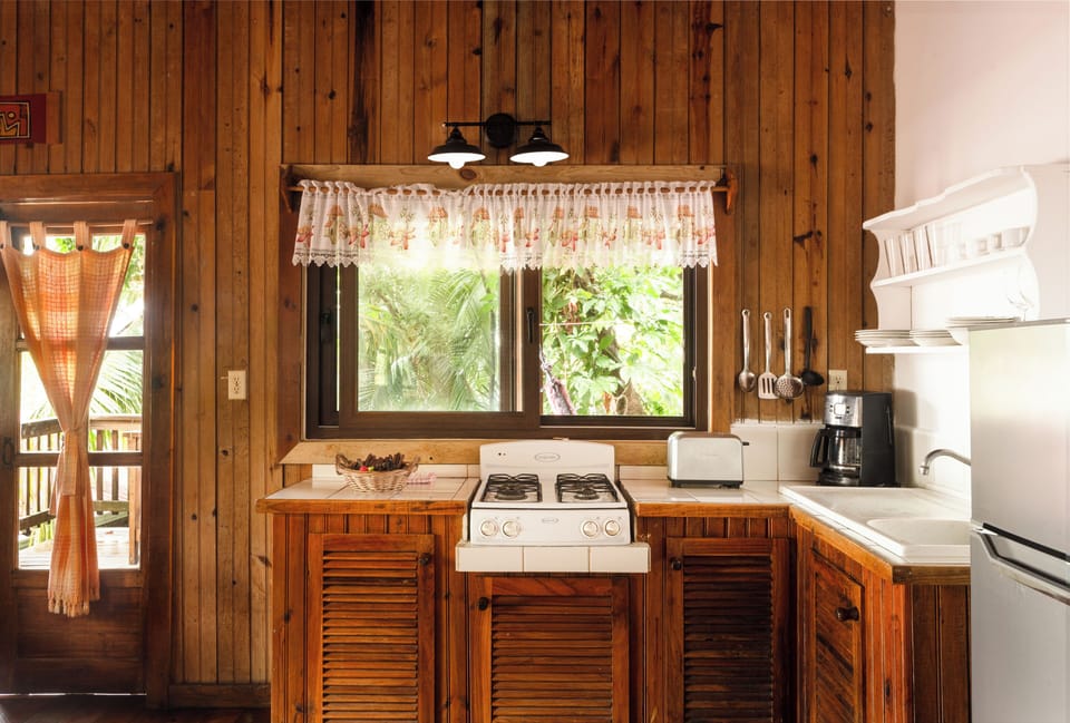 Family Apartment, 1 Bedroom, Kitchen, Beachfront | Private kitchen | Fridge