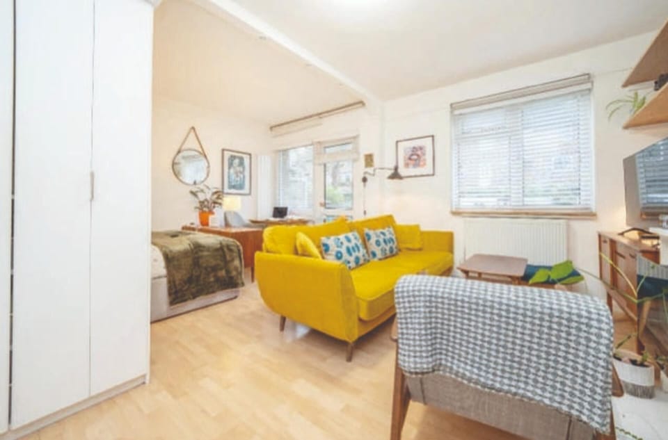 Studio | Living area | TV, fireplace
