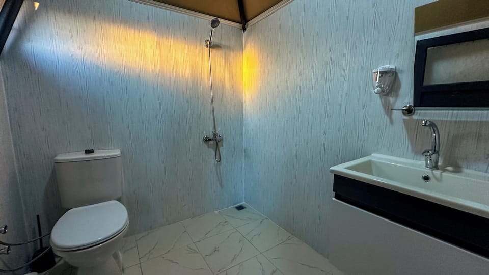 Classic Room | Bathroom | Shower, towels, soap, toilet paper