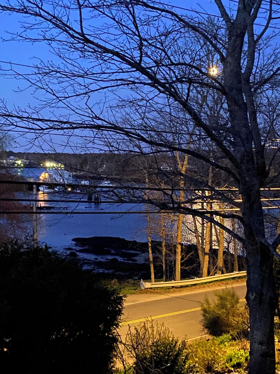 Winter view