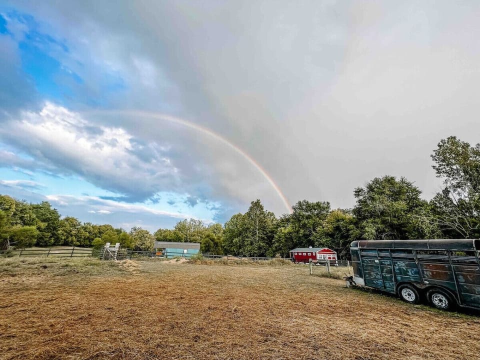 A slice of country magic- watch storms pass and skies clear to reveal breathtaking rainbows over the pasture.