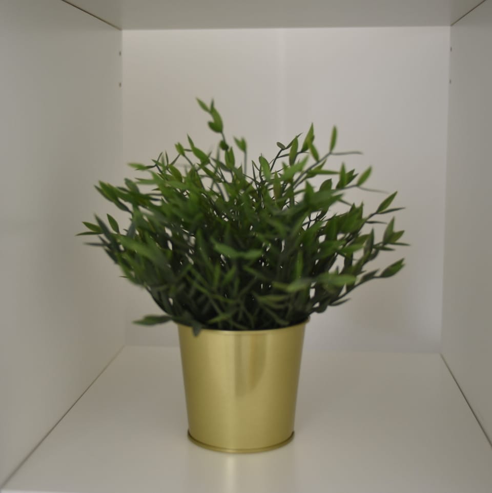 Exclusive Apartment | Living area | 43-inch Smart TV with digital channels, heated floors