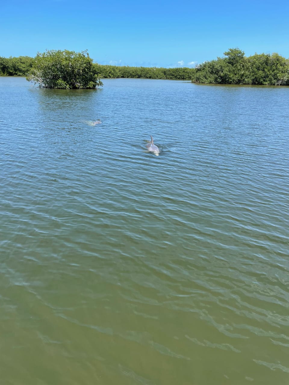 Photo taken from dock