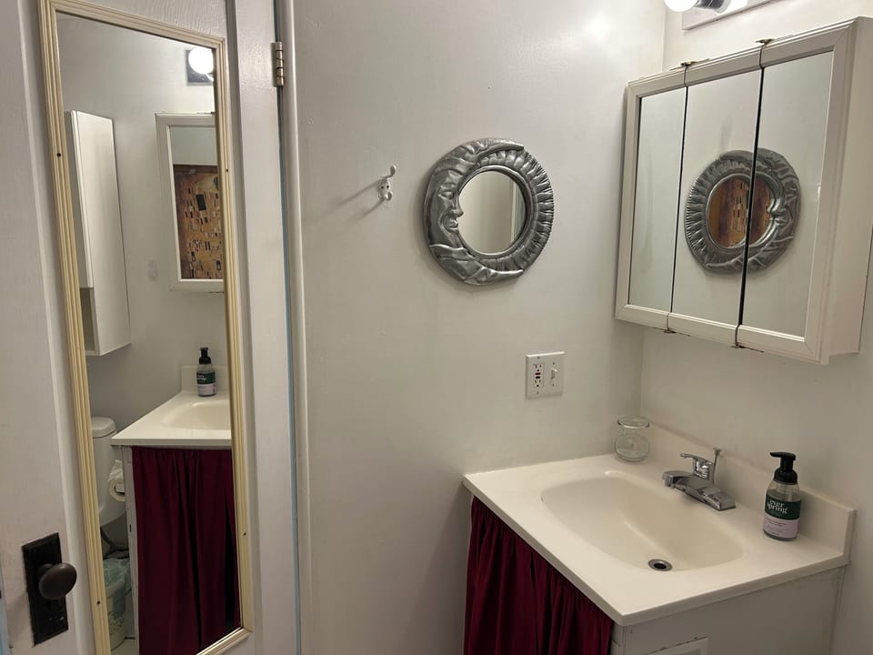 Mirror set up in bathroom is fantastic.