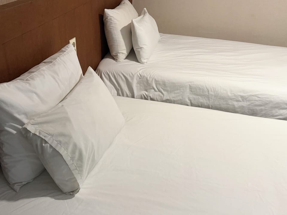 Room, 2 Twin Beds | Egyptian cotton sheets, premium bedding, down comforters