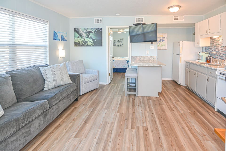 Living Room/Kitchen combo
