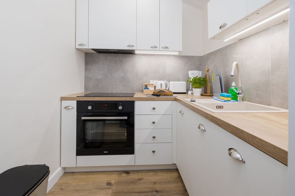 Deluxe Apartment | Private kitchen | Full-size fridge, oven, stovetop, dishwasher