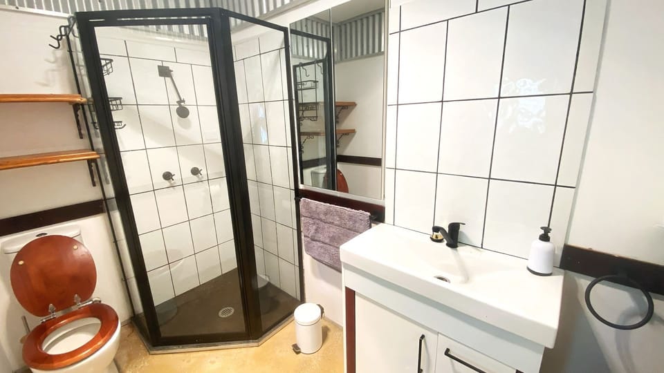 Downstairs bathroom