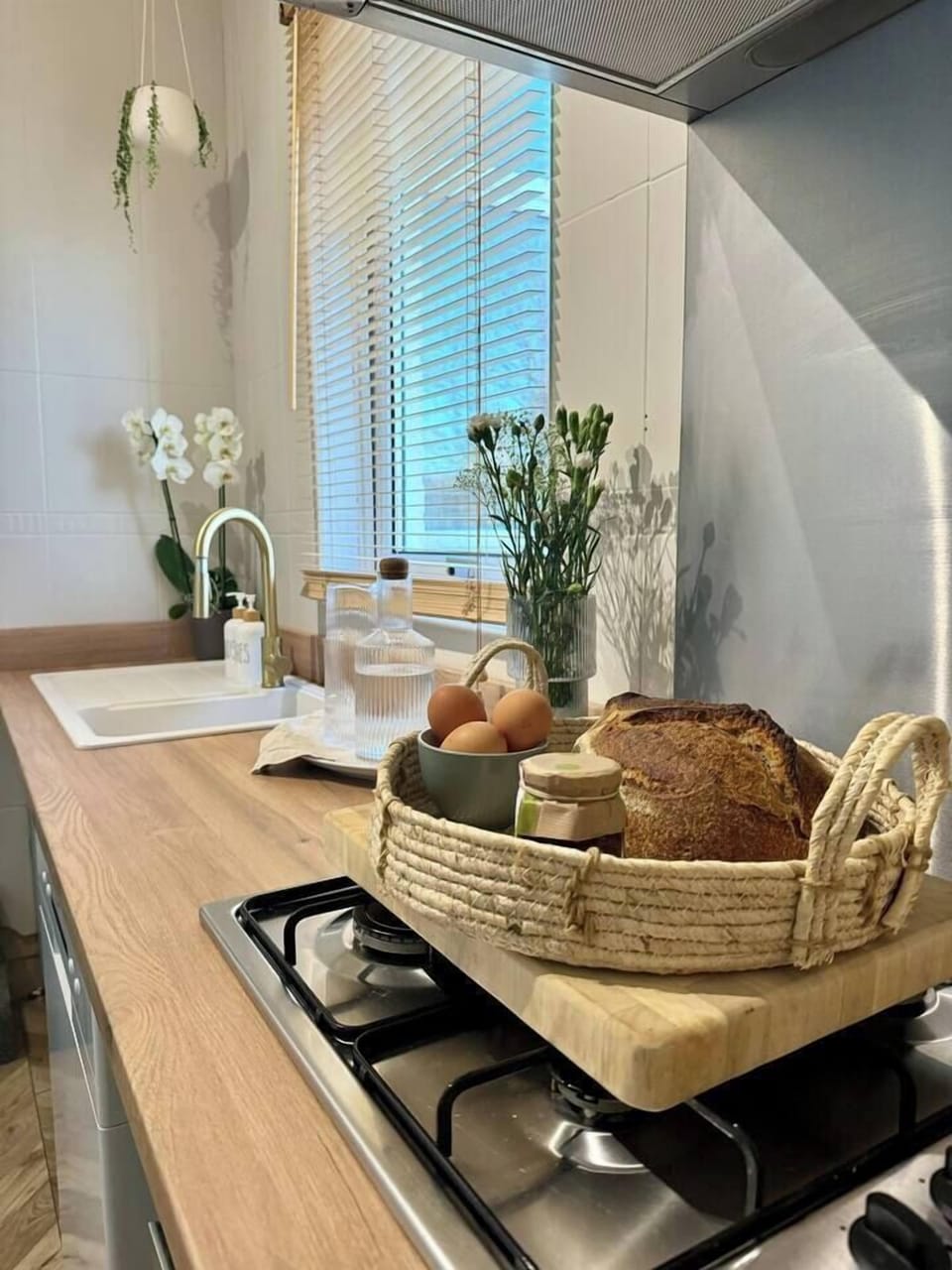 Our welcome basket is full of local treats. Including bread, eggs and jam! Also treats for the doggos!