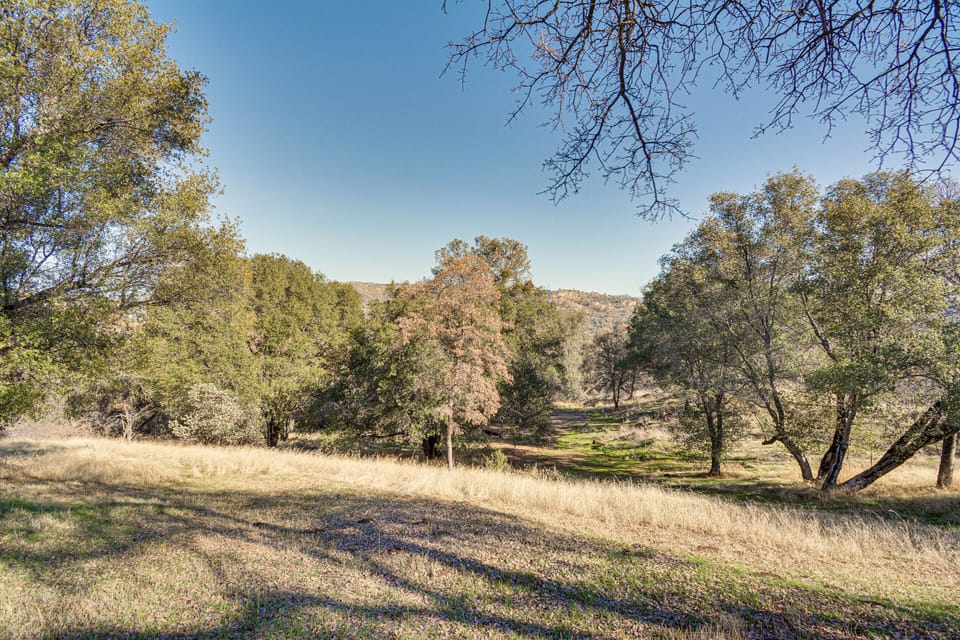 Private Yard | Mountain Views