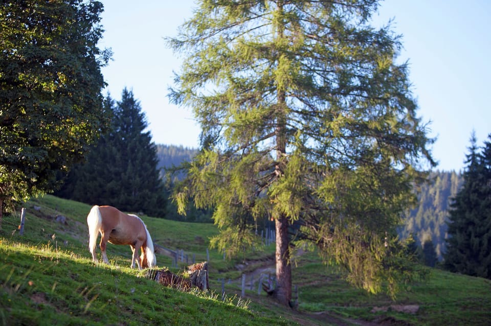 Surroundings [summer] (1-5 km)