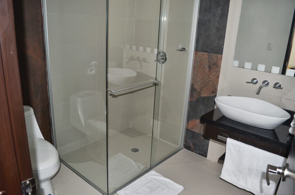 Shower, hair dryer