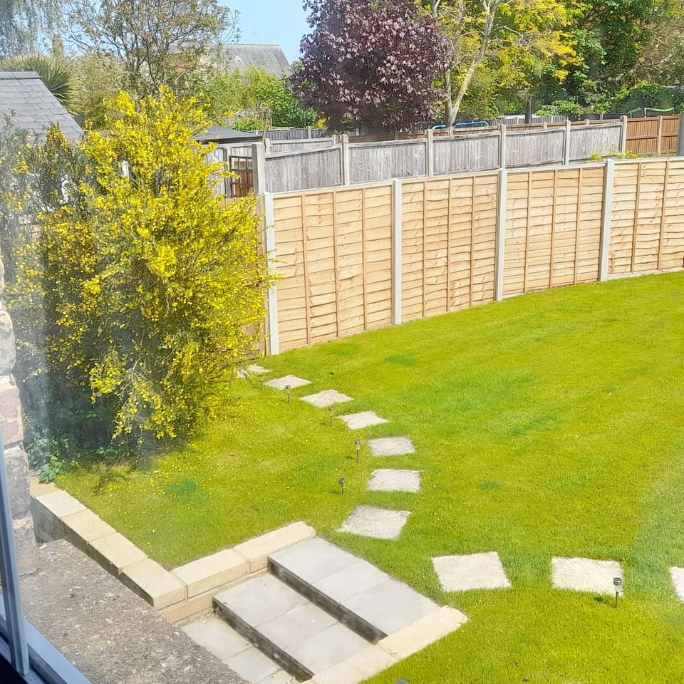 Broom in bloom, pretty outdoor space