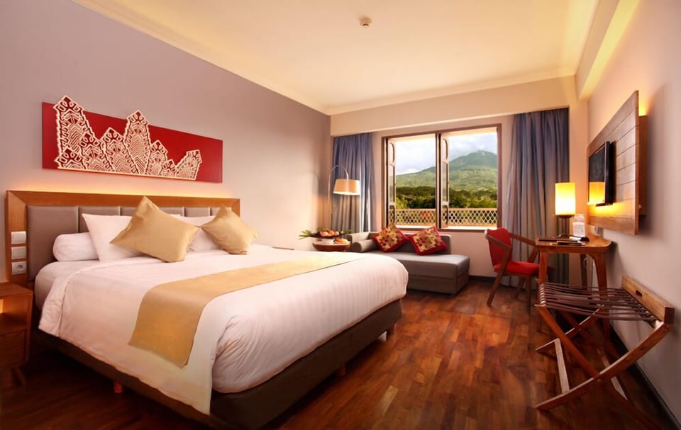 Panoramic Double Room | Minibar, in-room safe, desk, soundproofing