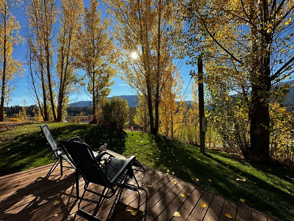 Back Patio