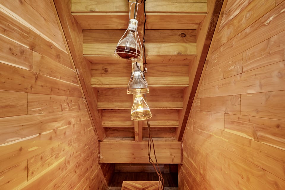 65863c36-6638-4cba-85ff-8768ae0d0ef1