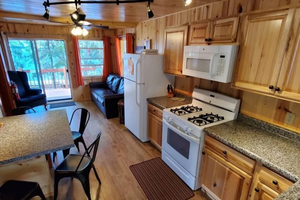 Living Area and Kitchen