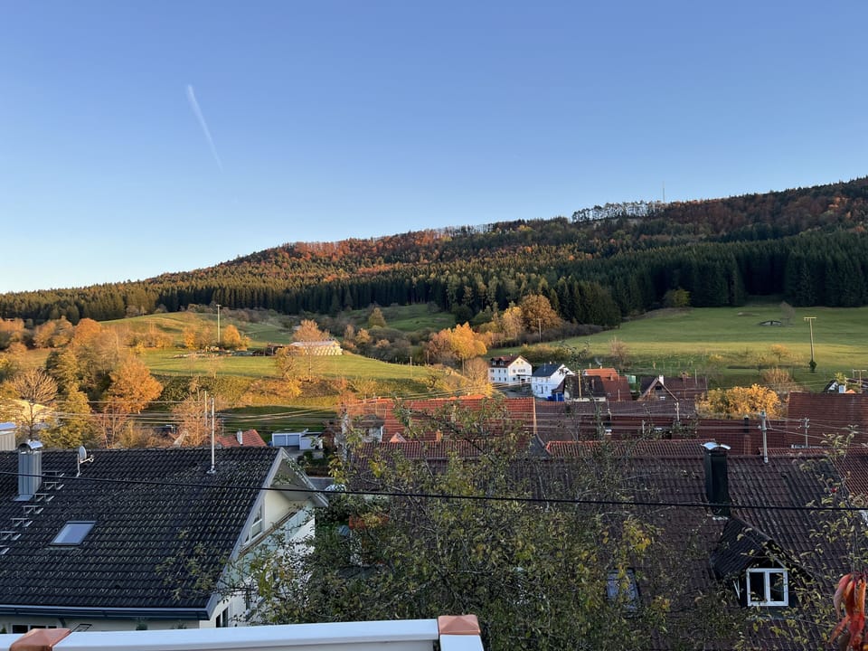 View from property