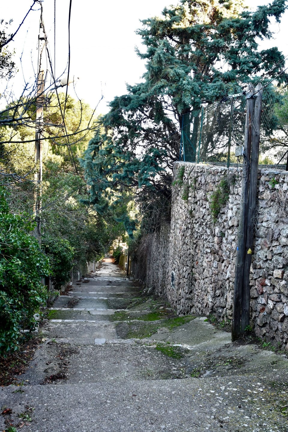 The steps that leave the house and take you to the top of Mont Saint Clair for the brave and walkers