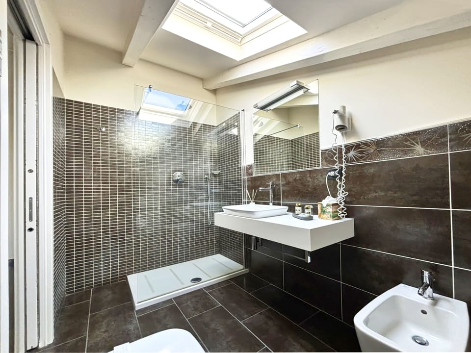 Deluxe Room | Bathroom | Shower, rainfall showerhead, free toiletries, hair dryer