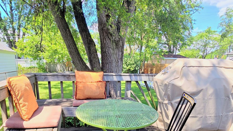 Outdoor snack area, and fancy grill