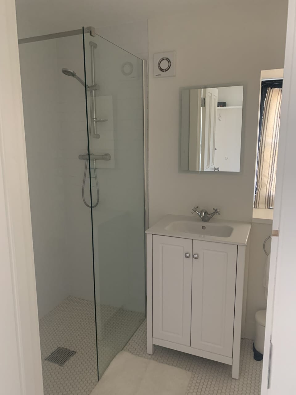 Downstairs bathroom with shower