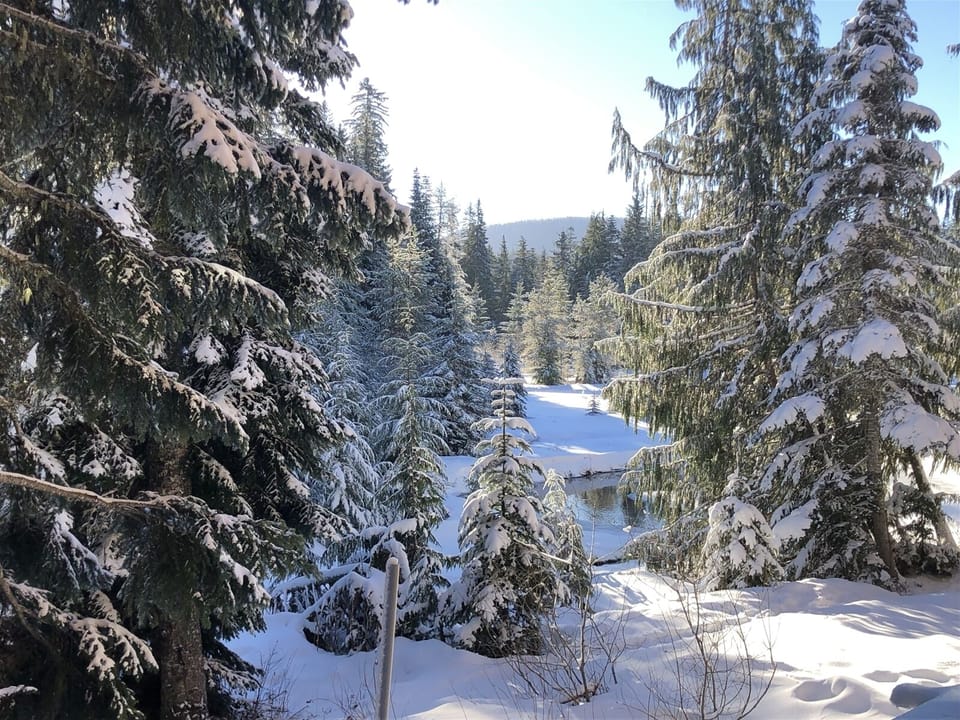 Snowy Winterland View