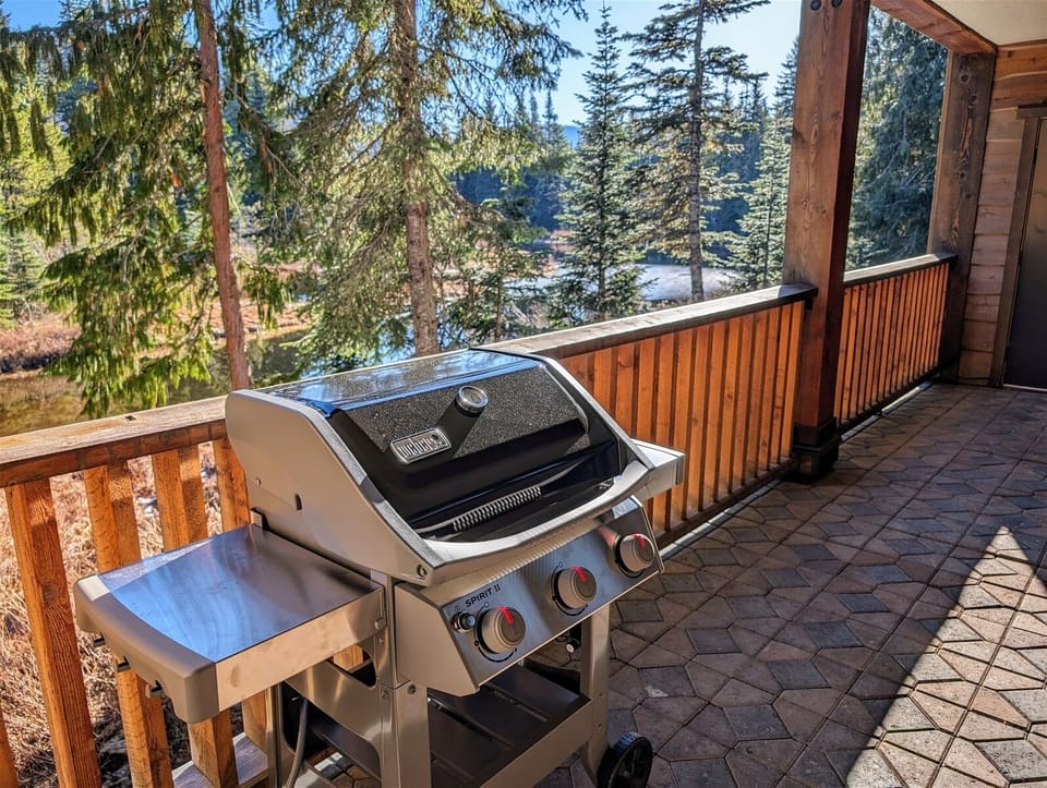 BBQ and view from balcony