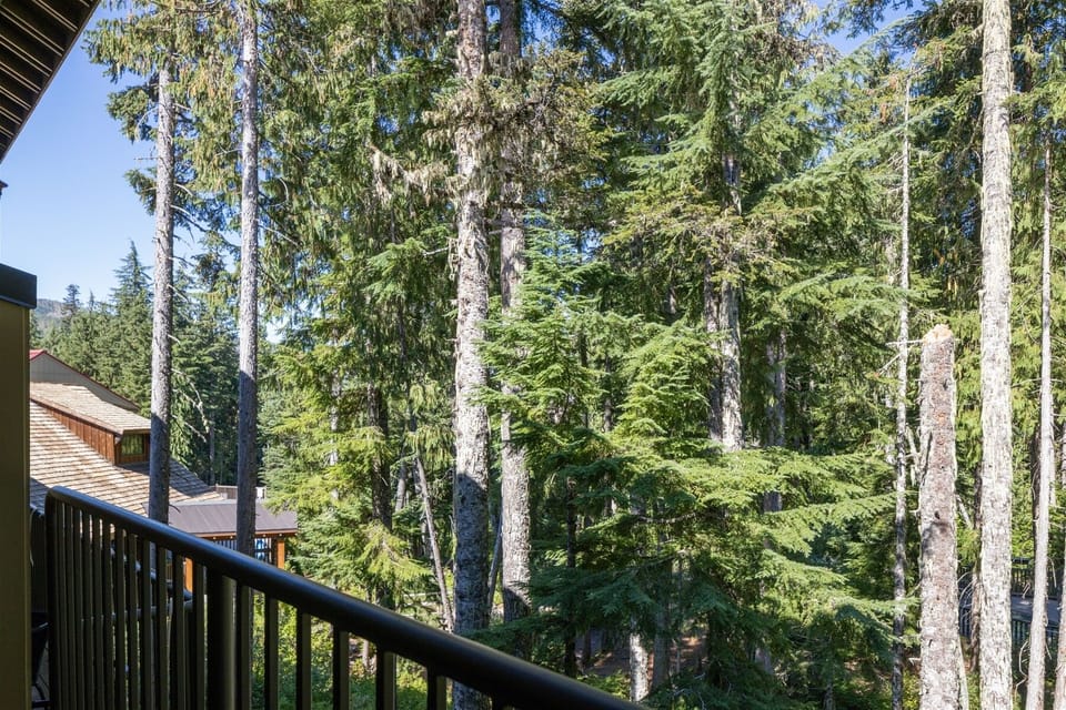 Private Balcony with Creek View