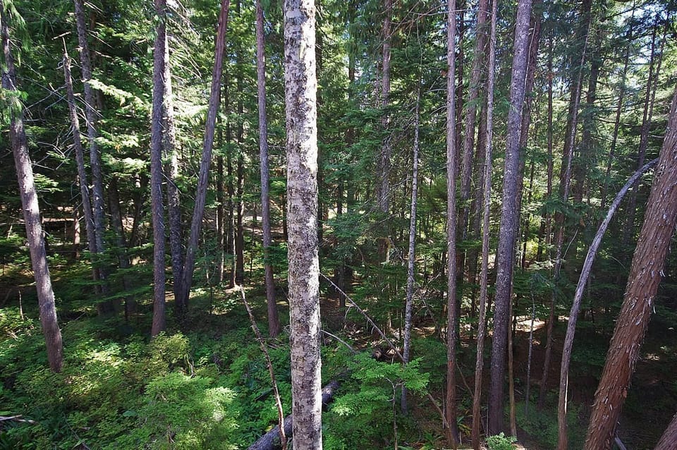 View from Balcony