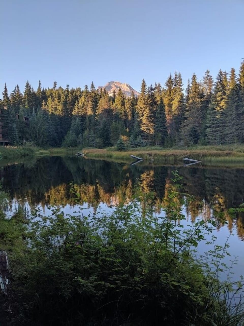 View of Mt. Hood from Collins Lake
